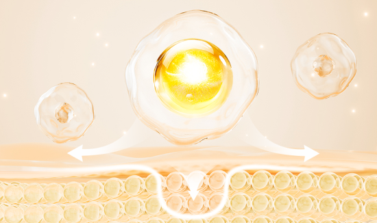 强脉冲光的描述图片